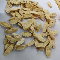 黄芪 1.2大片 统货 甘肃