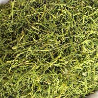 山银花 精选茶花 湖南