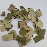 荷叶 方块 湖南