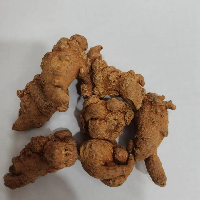 三七 40头左右 统货 云南