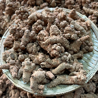 三七 60头 云南